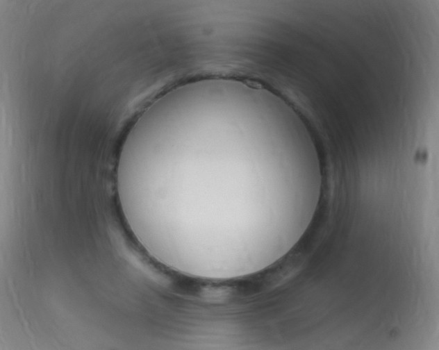 X0000113290450200909141008