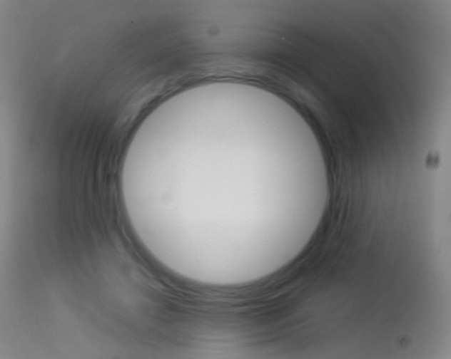 X0000113290452200909141008