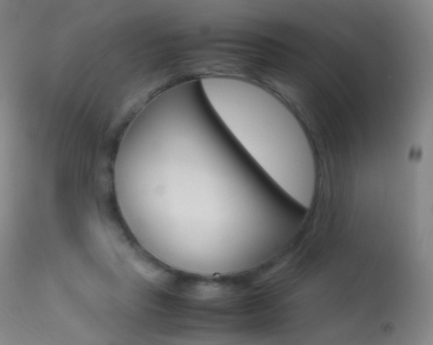 X0000113290453200909141008