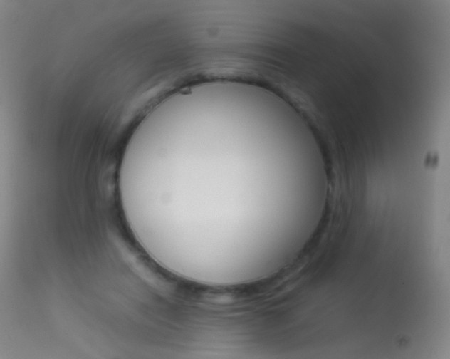 X0000113290454200909141008
