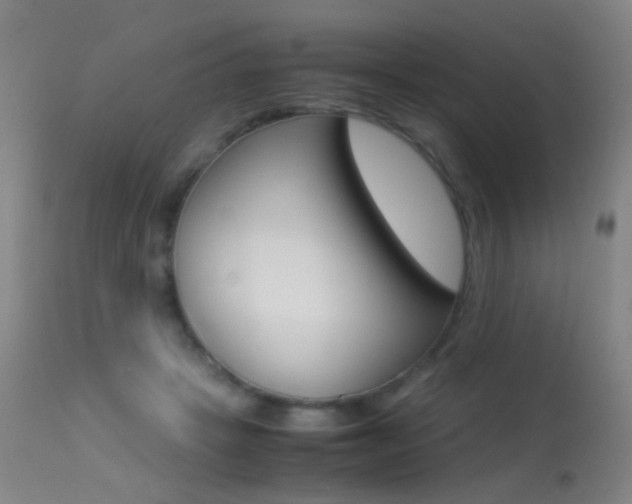 X0000113290457200909141009