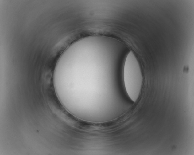 X0000113290458200909141009