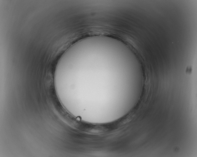 X0000113290459200909141009