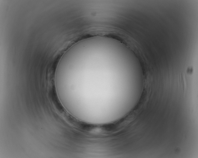 X0000113290460200909141009