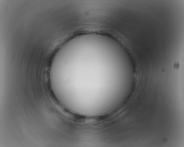 X0000113290462200909141009