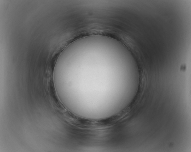 X0000113290463200909141009
