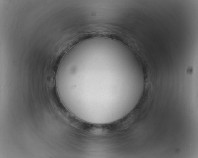 X0000113290464200909141009