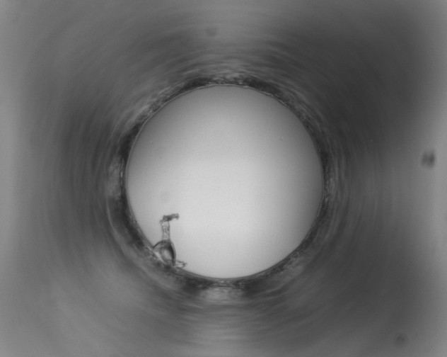 X0000113290468200909141009