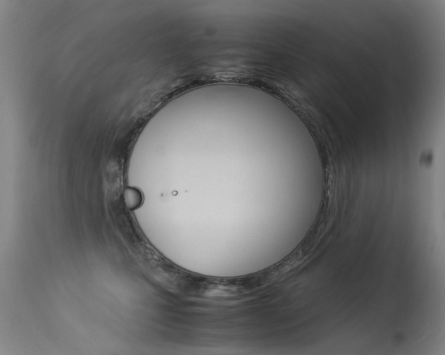 X0000113290471200909141009
