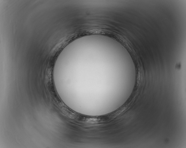 X0000113290473200909141009