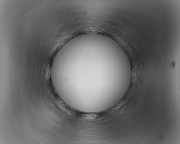 X0000113290474200909141009