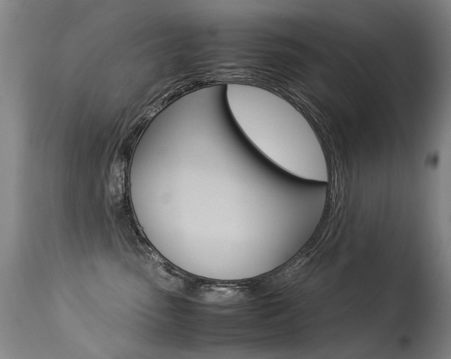 X0000113290475200909141009