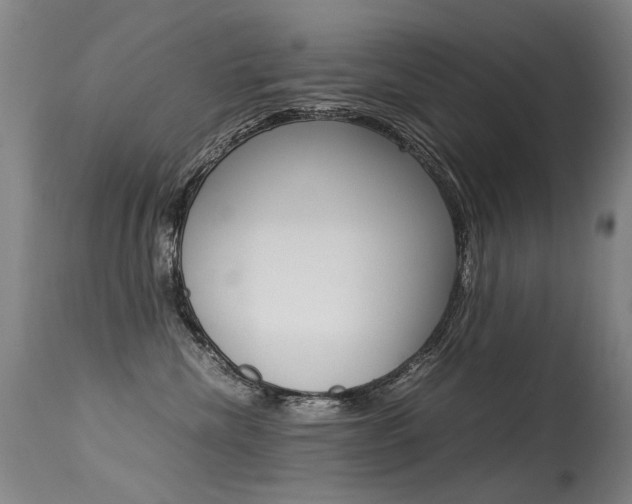 X0000113290476200909141009