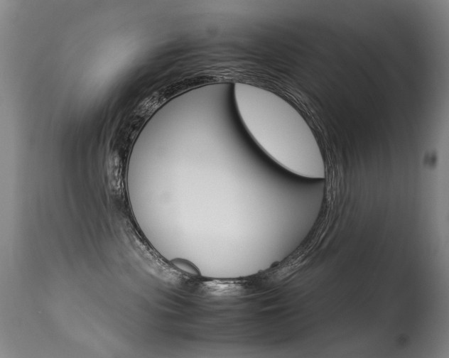 X0000113290477200909141009