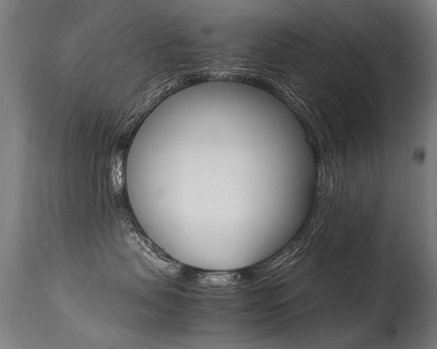 X0000113290479200909141009