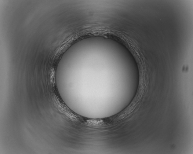 X0000113290480200909141009
