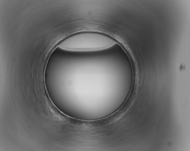 X0000113290481200909141008