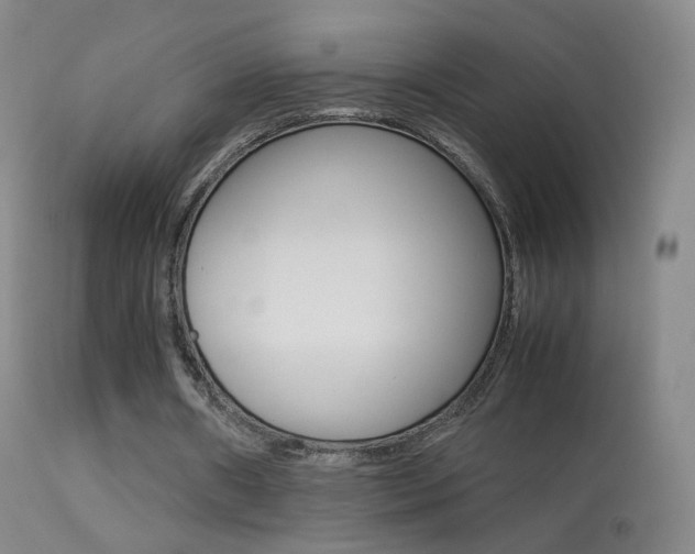 X0000113290482200909141008