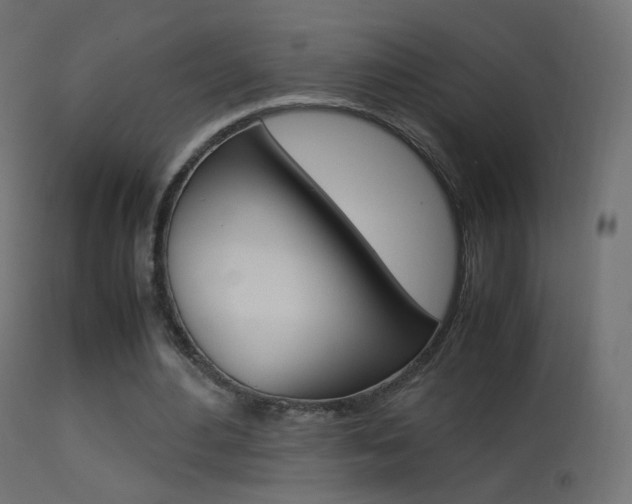 X0000113290484200909141008