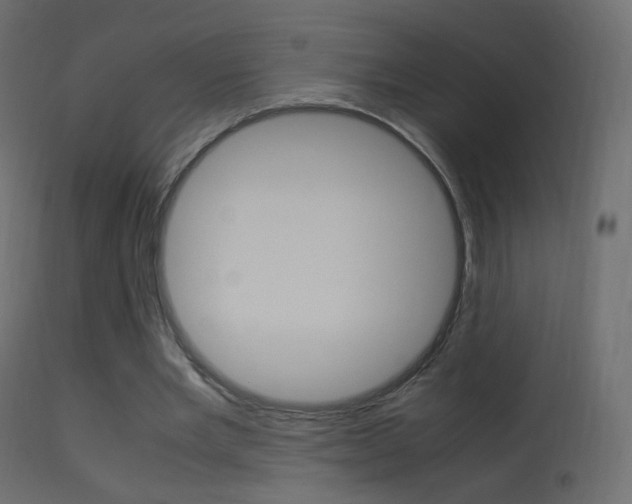 X0000113290485200909141008