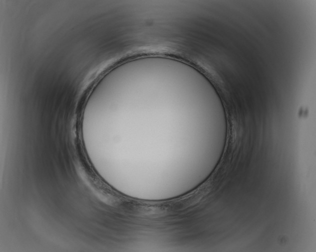 X0000113290486200909141008