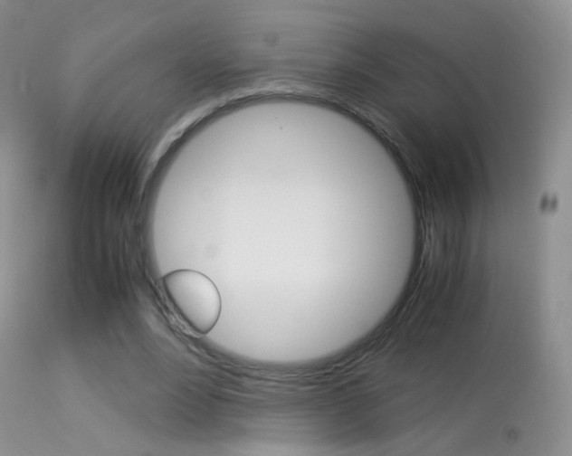 X0000113290488200909141008