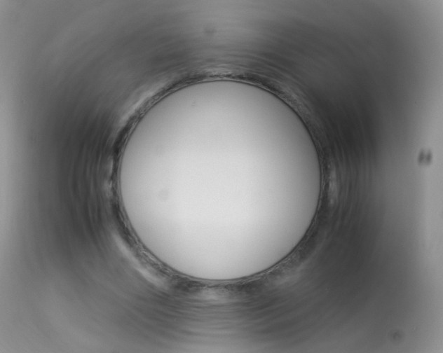 X0000113290490200909141008
