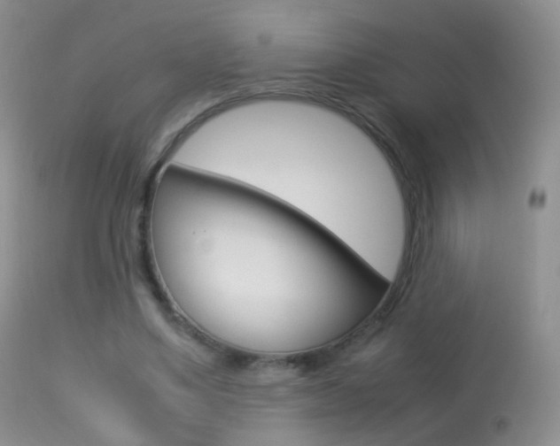 X0000113290491200909141008