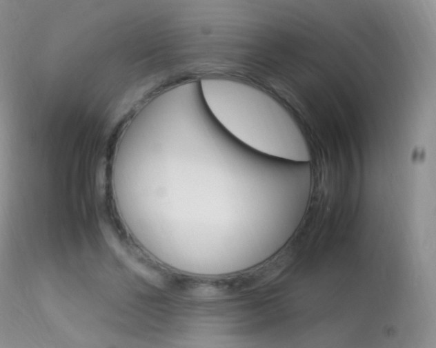 X0000113290494200909141008