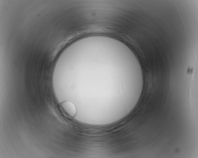 X0000113290496200909141008