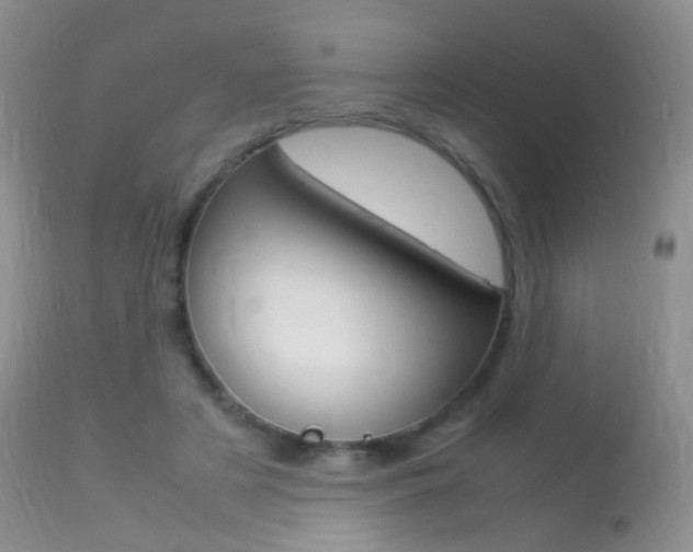 X0000113290497200909141008