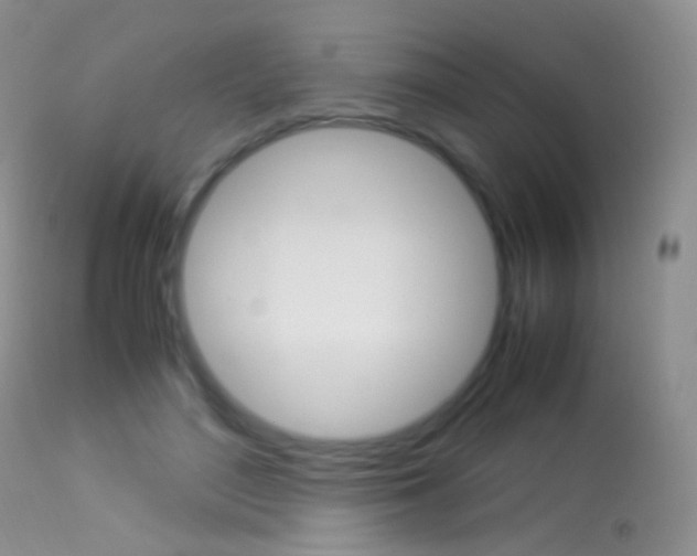 X0000113290500200909141008