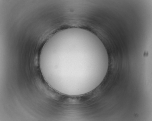 X0000113290502200909141008