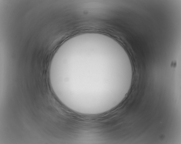 X0000113290505200909141008
