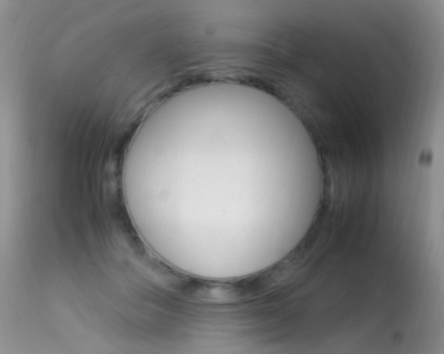 X0000113290506200909141008