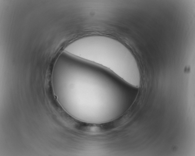 X0000113290509200909141008