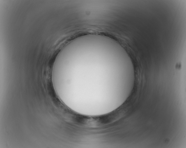 X0000113290511200909141008
