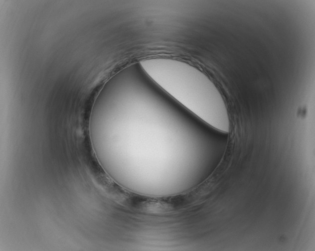 X0000113290512200909141008