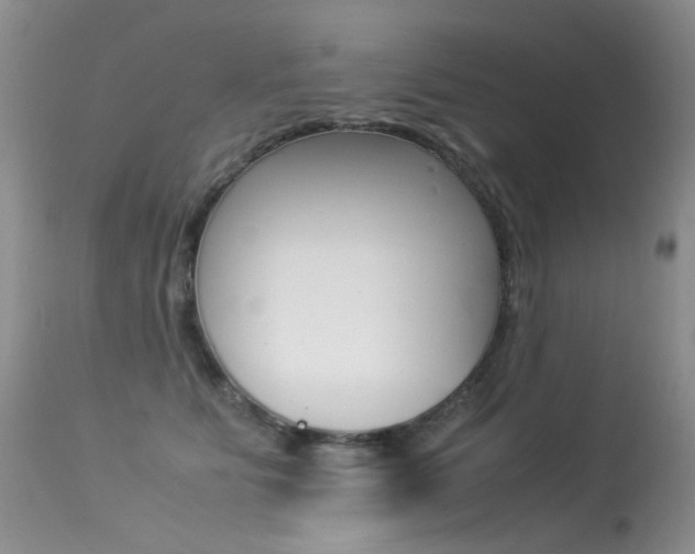X0000113290515200909141008