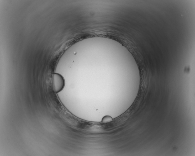 X0000113290518200909141008