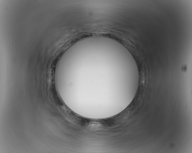 X0000113290519200909141007