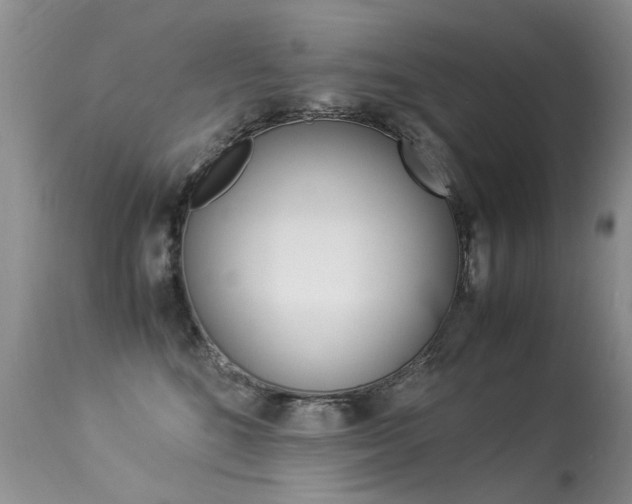 X0000113290520200909141007