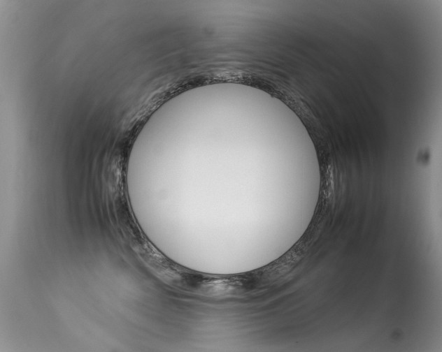 X0000113290522200909141007