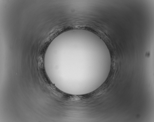 X0000113290523200909141007