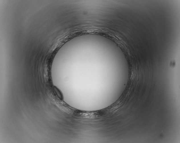 X0000113290524200909141007