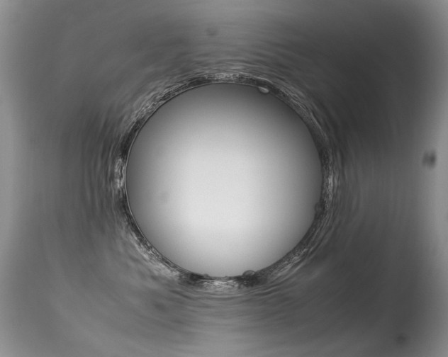 X0000113290525200909141007