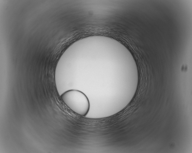 X0000113290528200909141007