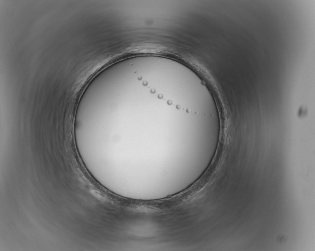 X0000113290529200909141007