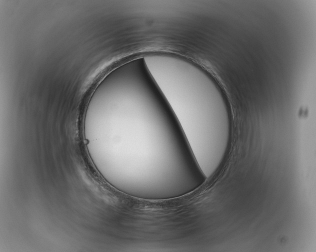 X0000113290531200909141007