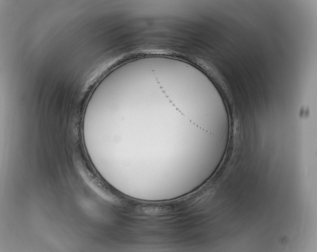 X0000113290533200909141007